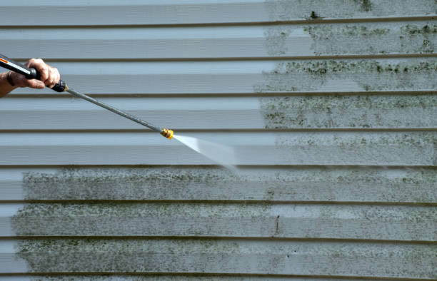 Best Deck Cleaning Services  in Franklinville, NC