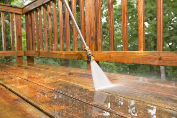 Best Local Pressure Washing Services  in Franklinville, NC