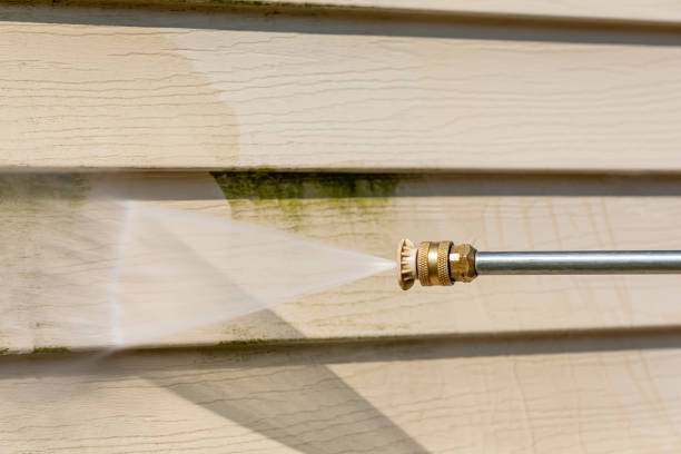 Best Affordable Pressure Washing  in Franklinville, NC
